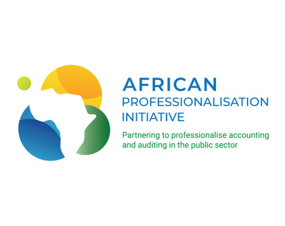 African Professionalisation Initiative African Professionalisation Initiative